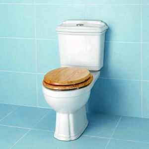 Genevieve C/C Toilet - Push Button Dual Flush