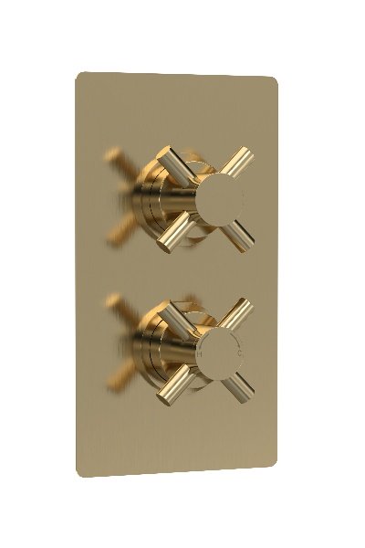 Twin Thermostatic Shower Valve