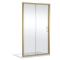 1700mm Sliding Shower Door - Brushed Brass