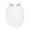 Soft Close Wooden Toilet Seat