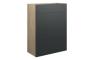 Eden 600mm Standard WC Unit - Matt Graphite Grey (Oak Cab)