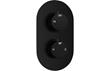 Single Outlet Twin Shower Valve - Matt Black