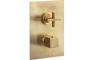 Abode Serenitie Concealed Shower (2 Exit) - Antique Brass
