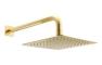 Abode Uno 200x200mm Shower Head - Brushed Brass