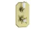 Sapira Traditional Lever Thermostatic Single Outlet Shower Valve - Brushed Brass