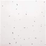 Kartell 2.4m x 1m Wall Panel 10mm (Arctic Sparkle White)