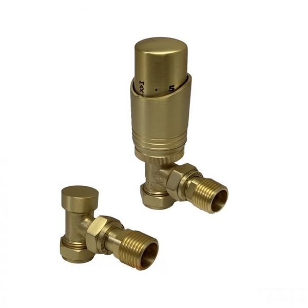 Kartell Design Twin Pack TRV Brushed Brass Angled