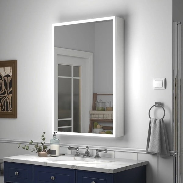 Kartell Echo 500x700mm Mirror Cabinet