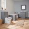Kartell Astley 600mm Mirror Cabinet Matt Grey