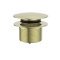 Kartell Freestanding Bath Click Clack Waste Brushed Brass