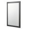 Kartell Kore 800x500mm Mirror Matt Dark Grey