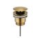 Kartell Universal Basin Waste Brushed Brass