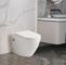 CATANIA Round Back-to-Wall Bidet Toilet