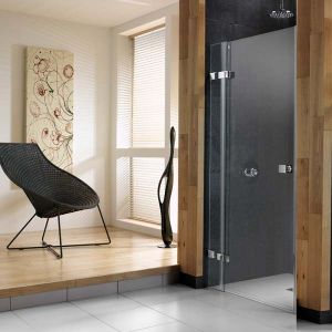 Ellbee Profile Design Pivot Door 900mm