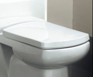 New Zeto Soft Close Toilet Seat Only
